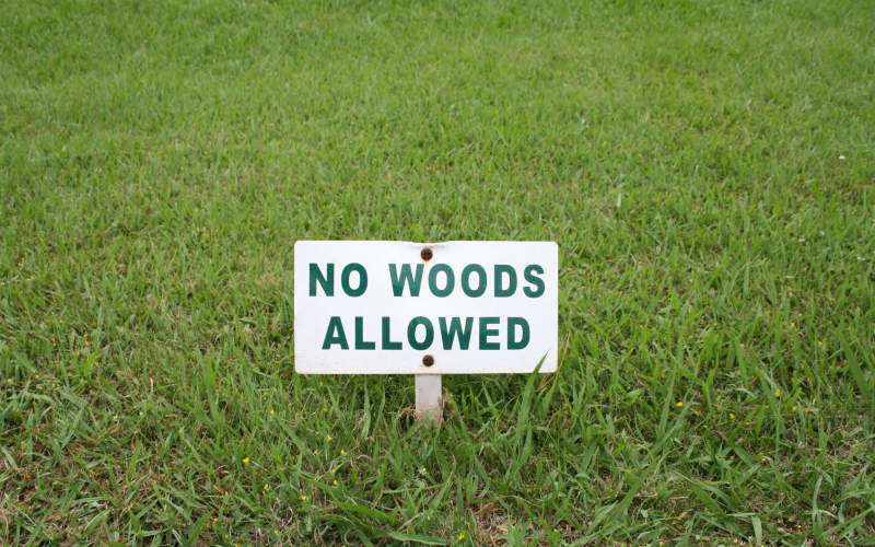 9 Early Warning Signs Your Lawn Is Secretly Dying and Exactly How to Revive It Fast