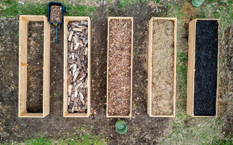 How to Build a Raised Garden Bed From Scratch Using Affordable Lumber in One Weekend