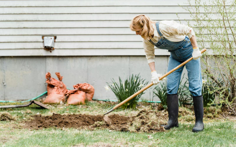 Why Your Lawn Has Brown Patches in Summer and the Exact Fix Based on Each Specific Cause