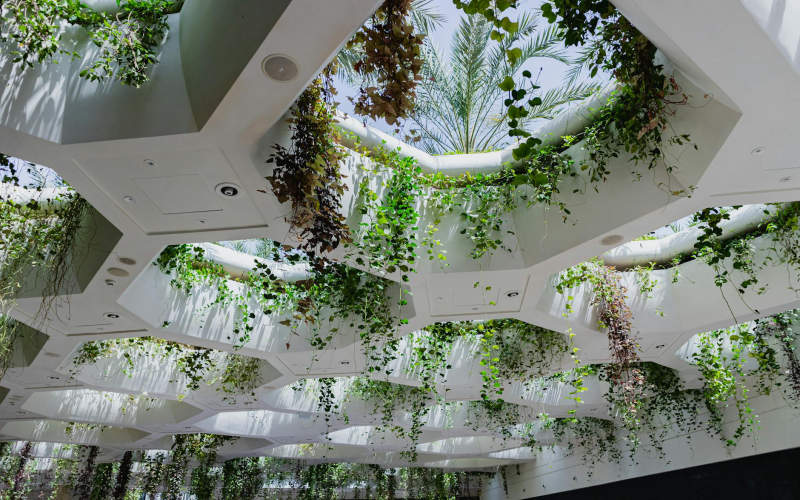 11 Biophilic Design Elements You Can Add to Any Rental Apartment Without Losing Your Deposit